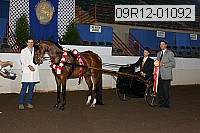 09r12-01092 thumbnail
