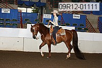 09r12-01111 thumbnail