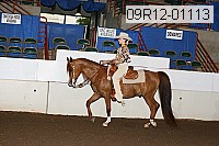 09r12-01113 thumbnail
