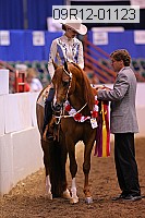 09r12-01123 thumbnail