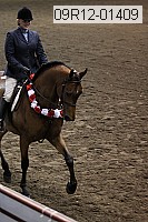 09r12-01409 thumbnail