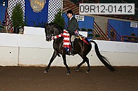 09r12-01412 thumbnail
