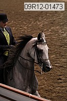 09r12-01473 thumbnail
