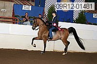 09r12-01481 thumbnail