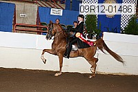 09r12-01486 thumbnail