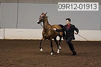 09r12-01913 thumbnail