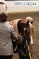 09r12-06244 thumbnail