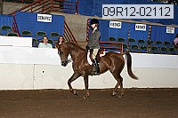 09r12-02112 thumbnail