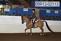 09r12-02113 thumbnail