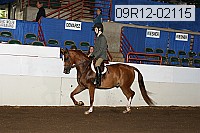 09r12-02115 thumbnail