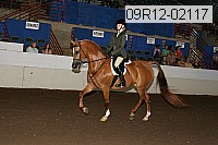 09r12-02117 thumbnail