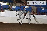 09r12-02120 thumbnail