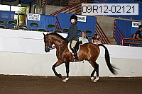 09r12-02121 thumbnail