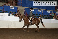 09r12-02124 thumbnail