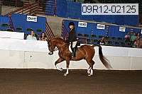 09r12-02125 thumbnail