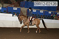 09r12-02128 thumbnail