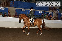 09r12-02129 thumbnail