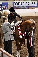 09r12-02133 thumbnail