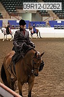 09r12-02262 thumbnail