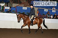09r12-04776 thumbnail