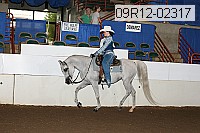 09r12-02317 thumbnail