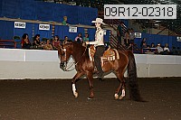 09r12-02318 thumbnail