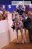 09r12-02319 thumbnail