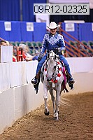 09r12-02325 thumbnail