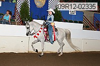 09r12-02335 thumbnail