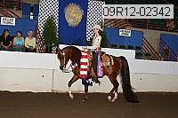09r12-02342 thumbnail