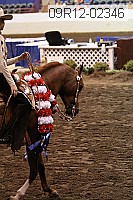 09r12-02346 thumbnail