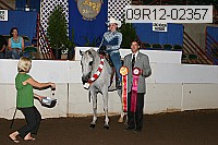 09r12-02357 thumbnail