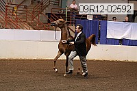 09r12-02592 thumbnail