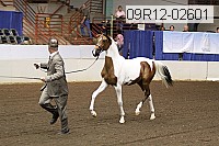 09r12-02601 thumbnail