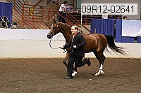 09r12-02641 thumbnail