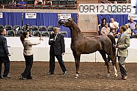 09r12-02665 thumbnail