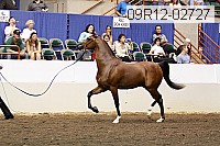 09r12-02727 thumbnail