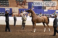 09r12-02728 thumbnail