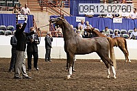 09r12-02760 thumbnail