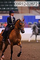 09r12-02872 thumbnail