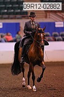 09r12-02882 thumbnail