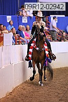 09r12-02942 thumbnail