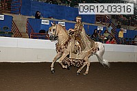 09r12-03316 thumbnail