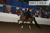09r12-08041 thumbnail