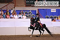 09r12-03035 thumbnail