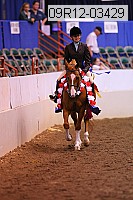 09r12-03429 thumbnail