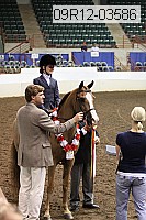 09r12-03586 thumbnail