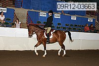 09r12-03663 thumbnail