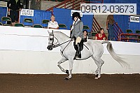 09r12-03673 thumbnail