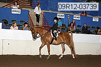 09r12-03739 thumbnail